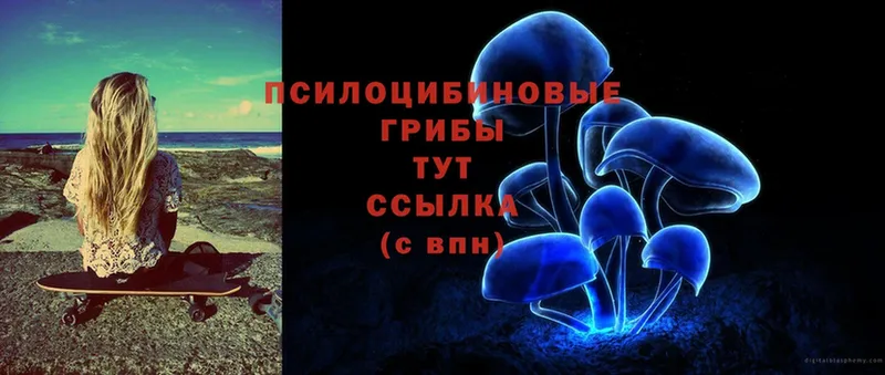 это официальный сайт  Копейск  Галлюциногенные грибы Psilocybine cubensis 